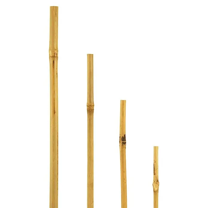Bellissa Bambusstab (Ø x L: 0,6 x 90 cm)