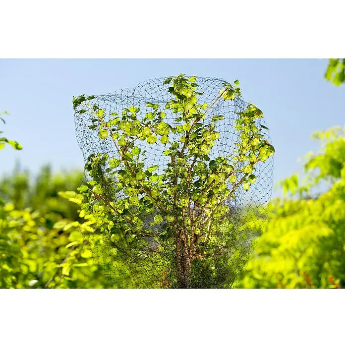 Gardol Vogelschutznetz Premium (5 x 2 m)