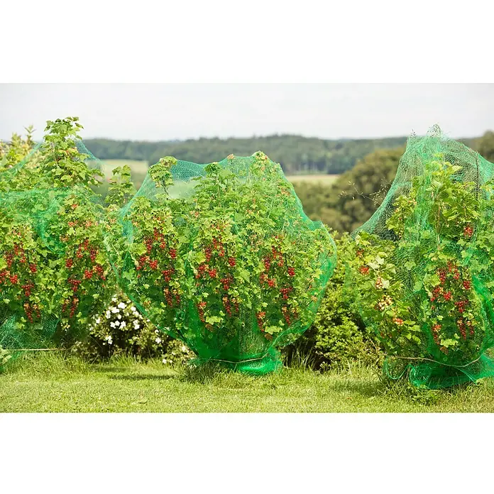 Gardol Vogelschutznetz Basic (5 x 2 m)