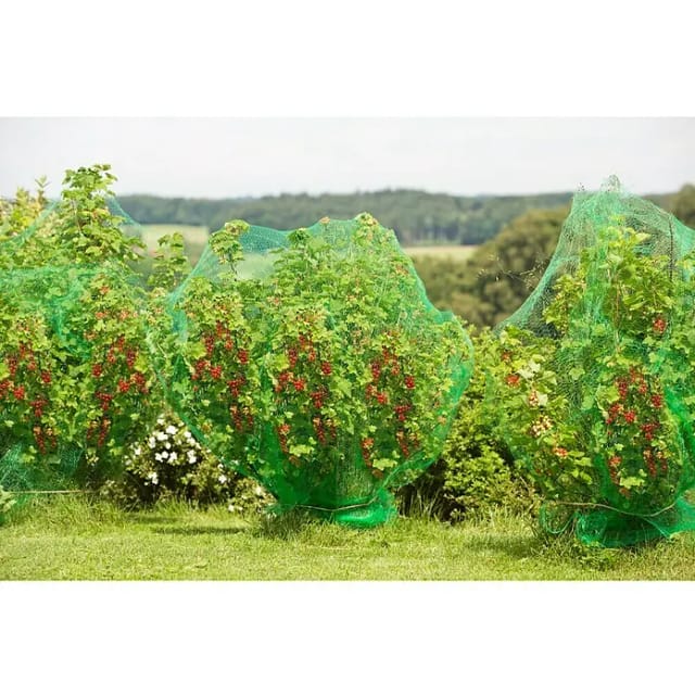 Gardol Vogelschutznetz Basic (8 x 8 m)
