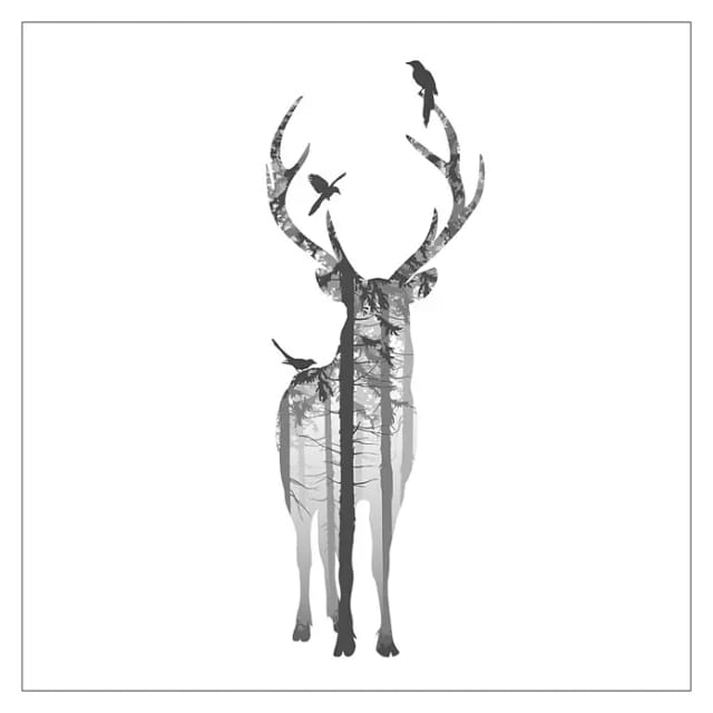 ProArt Leinwandbild (Deer with Birds, B x H: 30 x 30 cm)
