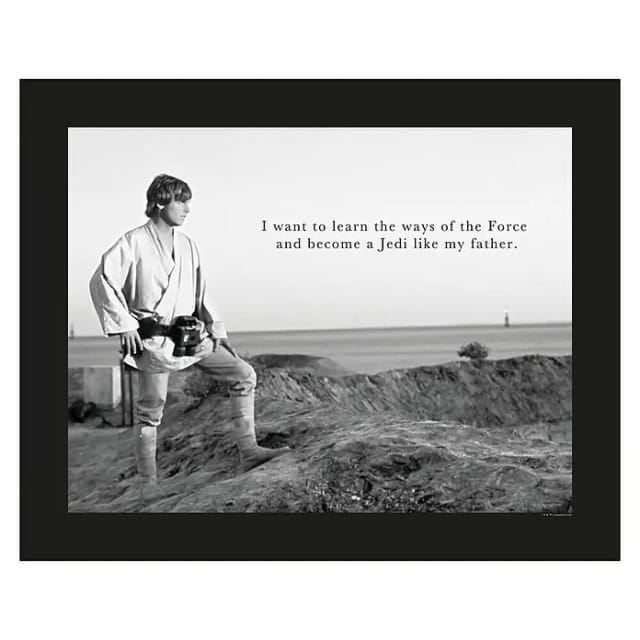 Komar Star Wars Poster Luke Quote (Star Wars, B x H: 50 x 40 cm)