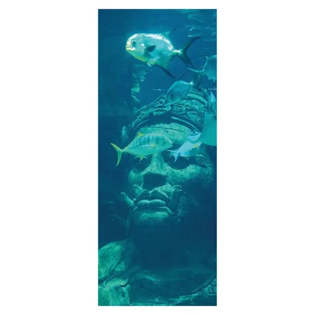SanDesign Acryl-Verbundplatte (100 x 250 cm, Underwater World)