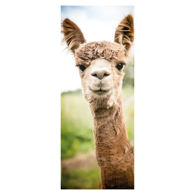 SanDesign Alu-Verbundplatte (100 x 250 cm, Alpaca)