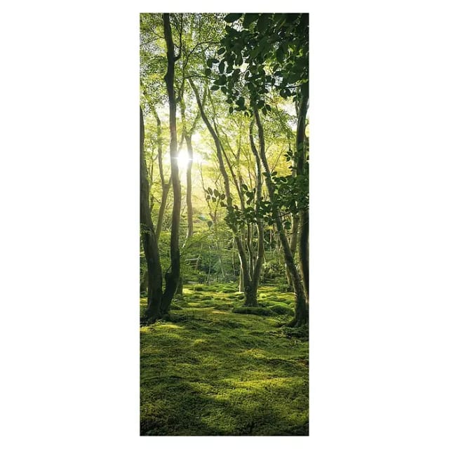 SanDesign Acryl-Verbundplatte (100 x 250 cm, Sunny Forest)