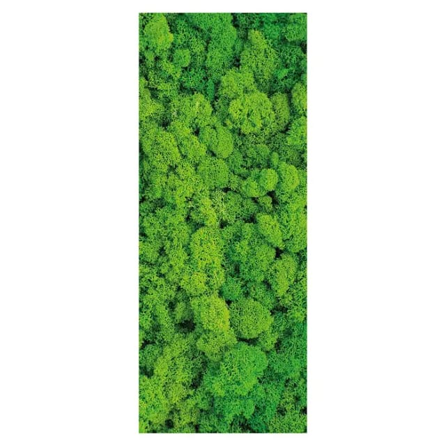 SanDesign Acryl-Verbundplatte (100 x 250 cm, Flower Moos)