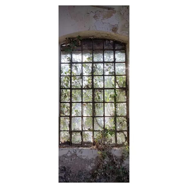 SanDesign Acryl-Verbundplatte (100 x 250 cm, Lost Place Big Window)