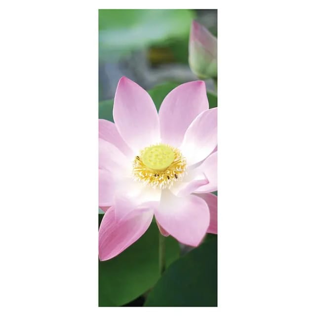 SanDesign Alu-Verbundplatte (100 x 250 cm, Pink Water Lily)