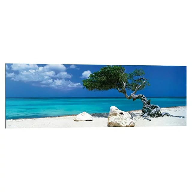 Reinders Decopanel (Divi Divi Tree, B x H: 90 x 30 cm)