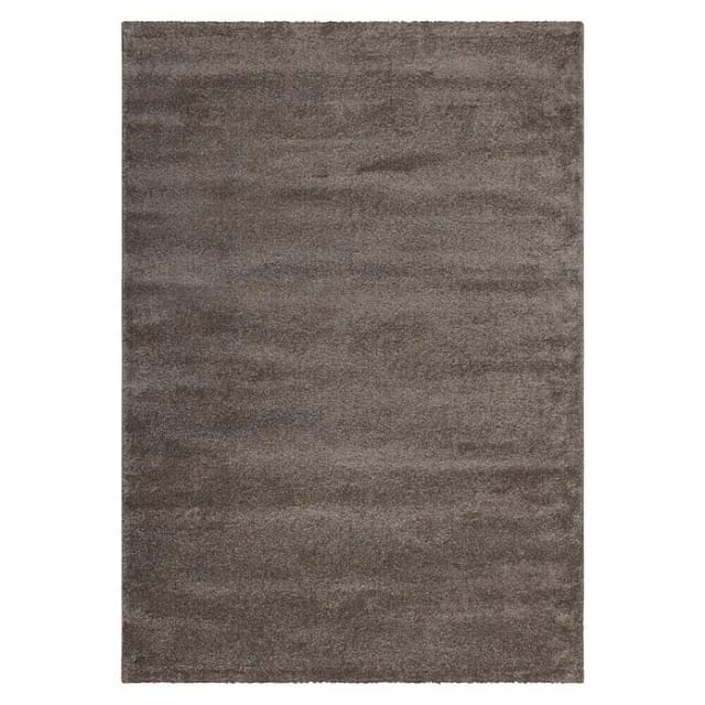 Kurzflorteppich Softtouch (Hellbraun, 290 x 200 cm, 100 % Polypropylen (Flor))
