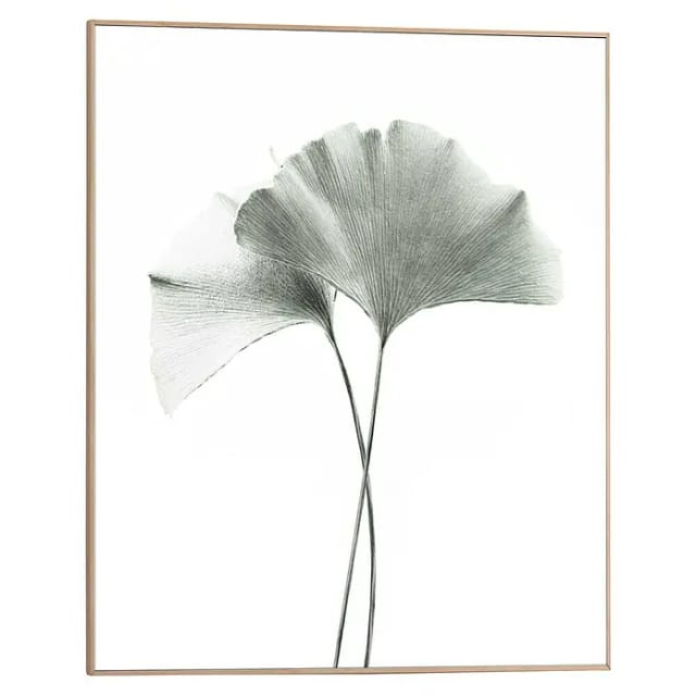 Reinders Bild Slim Frame Wood (Gingko, B x H: 40 x 50 cm)