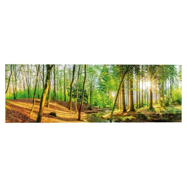 Reinders Decopanel (Spring Woods, B x H: 156 x 52 cm)