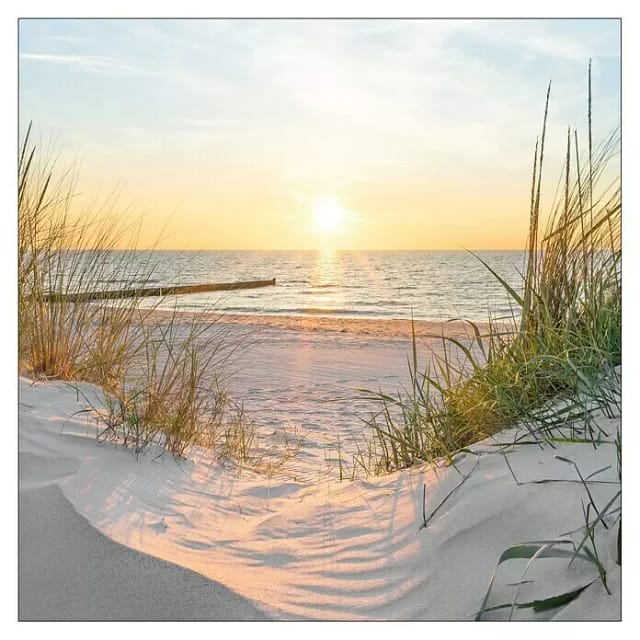 ProArt Leinwandbild (Beach View, B x H: 40 x 40 cm)