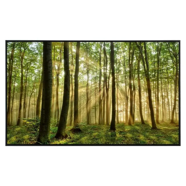 Papermoon Infrarot-Bildheizkörper Wald (100 x 60 cm, 800 W)