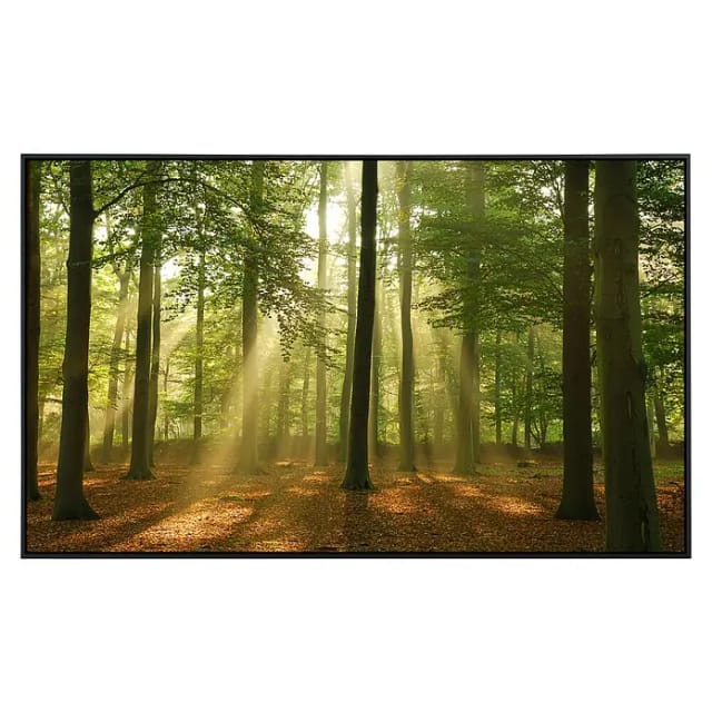 Papermoon Infrarot-Bildheizkörper Wald am Morgen (60 x 50 cm, 350 W)