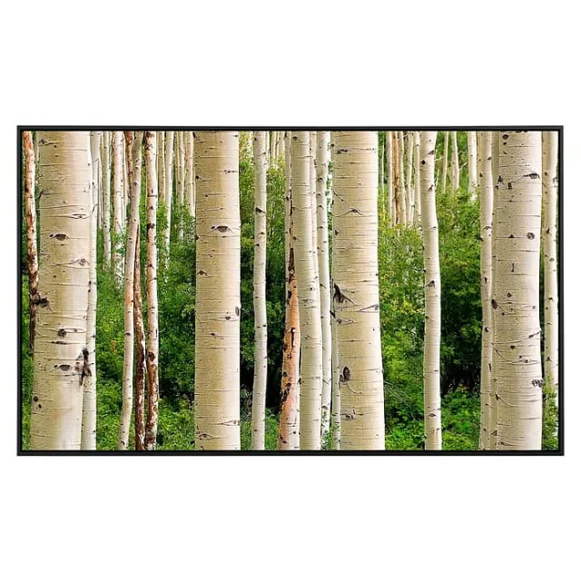 Papermoon Infrarot-Bildheizkörper Aspen Woods im Sommer (60 x 50 cm, 350 W)