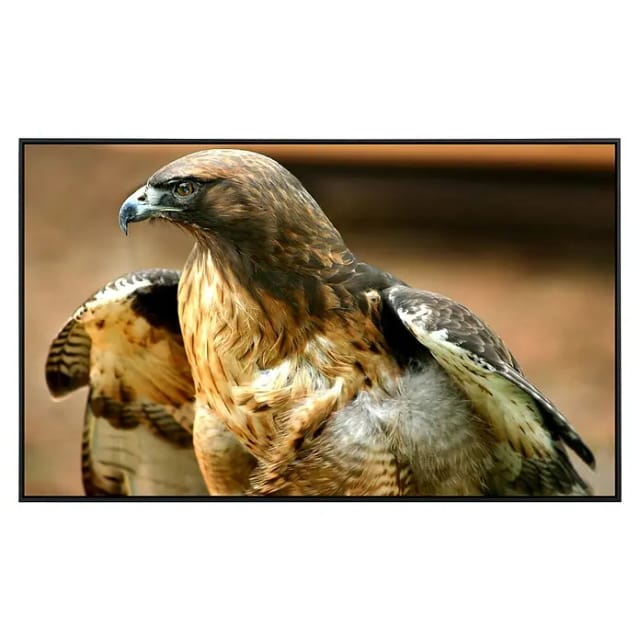 Papermoon Infrarot-Bildheizkörper Red Tail Hawk (100 x 60 cm, 600 W)