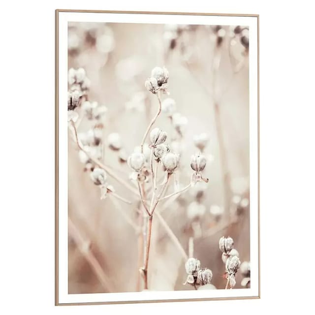 Reinders Bild Slim Frame Wood (Dried Whites, B x H: 50 x 70 cm)