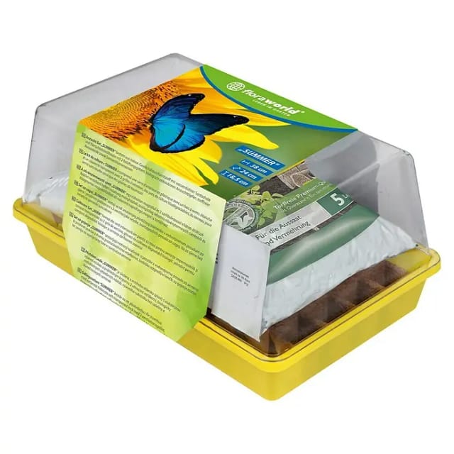 Floraworld Anzucht-Set Summer (L x B x H: 38 x 24 x 18,5 cm)