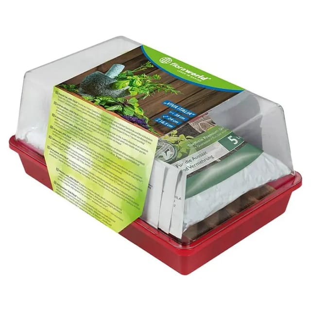 Floraworld Anzucht-Set Viva Italia (L x B x H: 38 x 24 x 18,5 cm)