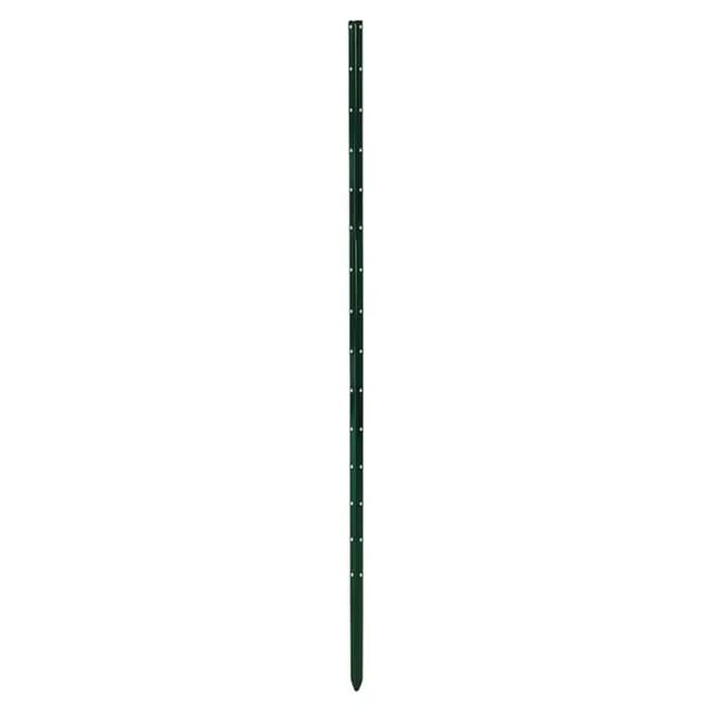 Bellissa Pflanzstab Timo (Länge: 150 cm)