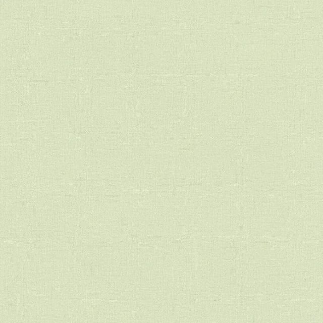 Rasch Wall Textures VI Vliestapete Uni (Pistaziengrün, Uni, 10,05 x 0,53 m)