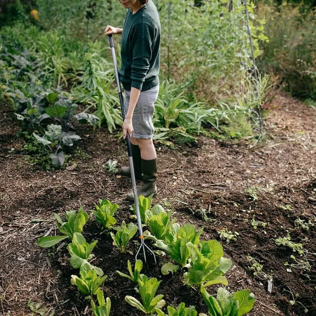 Fiskars Ergonomic Grubber (Material Gerätekopf: Borstahl, Anzahl Zinken: 3, 1 Stk.)
