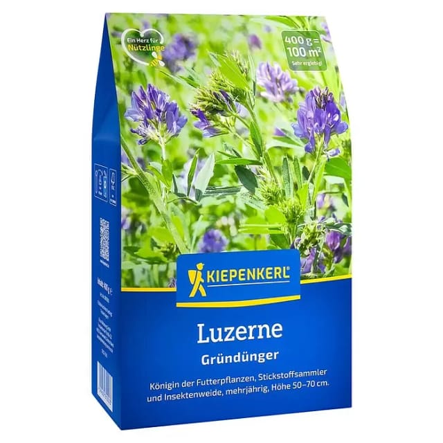 Kiepenkerl Gründüngung Luzerne (Medicago sativa, Inhalt reicht für ca. 100 Quadratmeter)