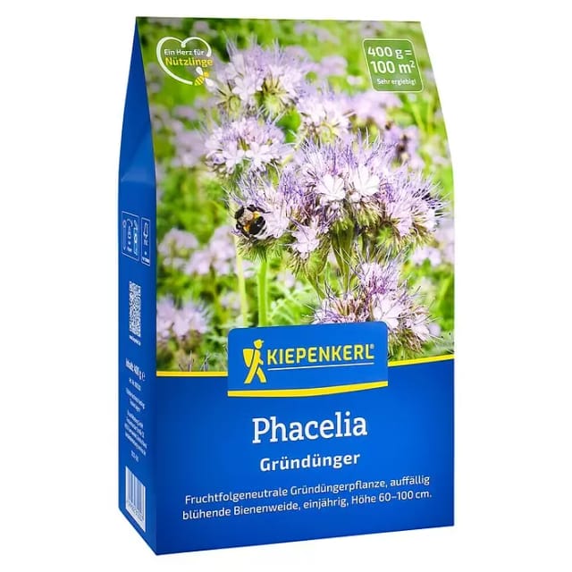 Kiepenkerl Gründüngung Phacelia (Phacelia tanacetifolia, Inhalt reicht für ca. 100 Quadratmeter)