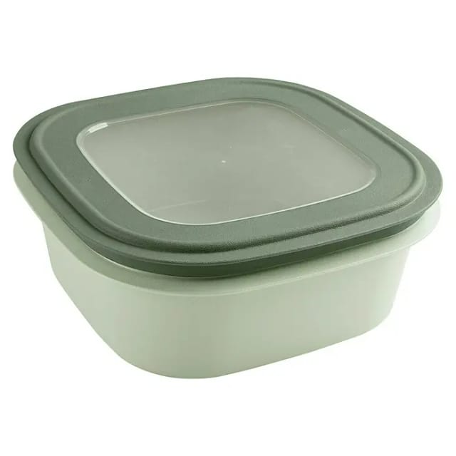 Sunware Sigma home Frischhaltedose (L x B x H: 23 x 23 x 9 cm, Grün, 2,8 l)