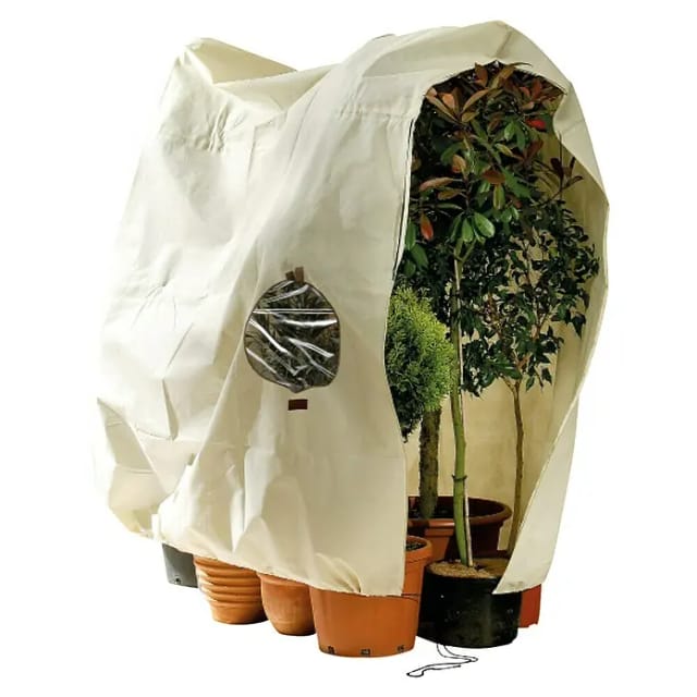 BioGreen Winterschutzhaube Jumbo Window (240 x 200 cm, 100 g/m²)