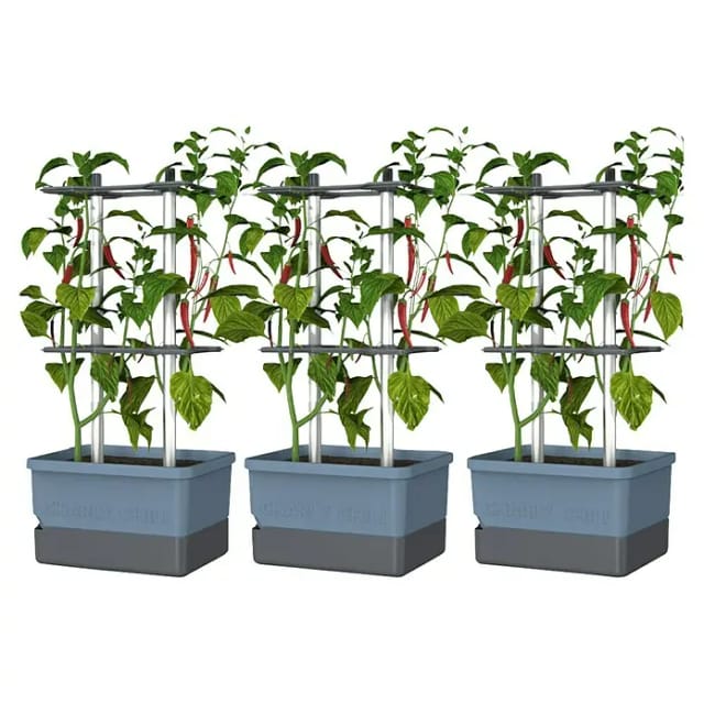 Gusta Garden Pflanzgefäß Charly Chili (68,7 x 103,5 x 27,5 cm, Blau, 3 -tlg.)