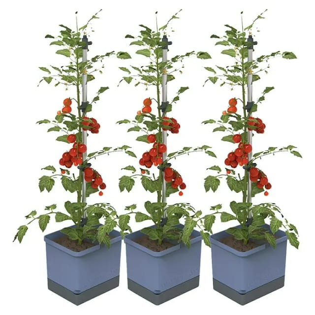 Gusta Garden Pflanzgefäß Tom Tomato (68,7 x 103,5 x 27,7 cm, Blau, 3 -tlg.)