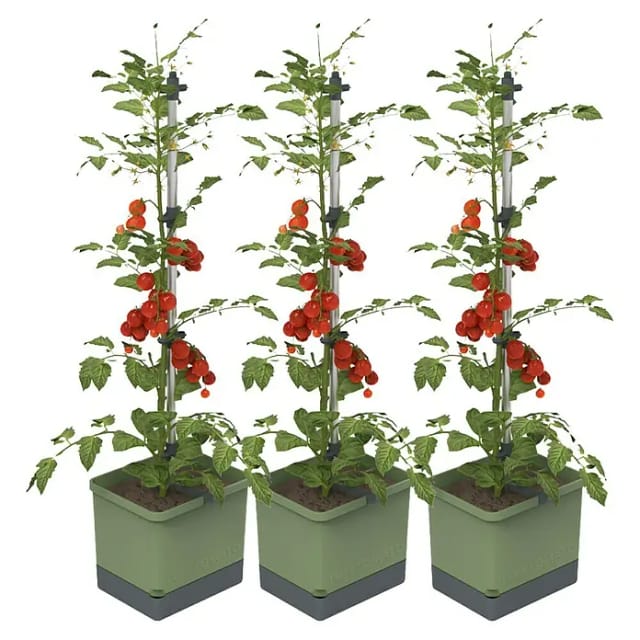 Gusta Garden Pflanzgefäß Tom Tomato (68,7 x 103,5 x 27,7 cm, Dunkelgrün, 3 -tlg.)