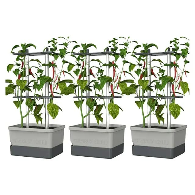 Gusta Garden Pflanzgefäß Charly Chili (68,7 x 103,5 x 27,5 cm, Hellgrau, 3 -tlg.)