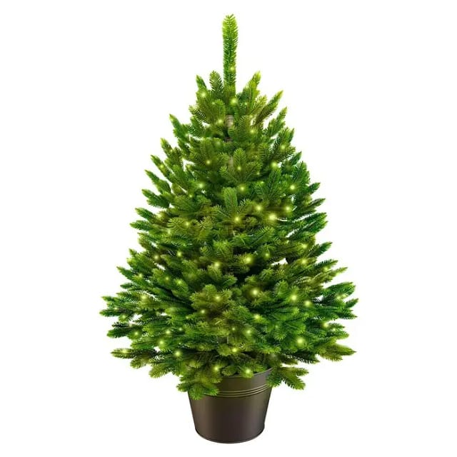 ArtiTree Künstlicher Weihnachtsbaum Nordfichte im Topf LED (Höhe: 40 cm, Grün, LED-Beleuchtung)