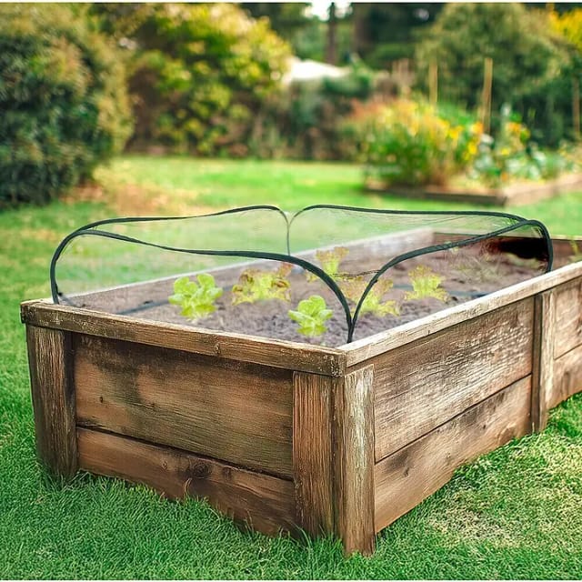 Windhager Hochbeet-Abdeckung Pop up Cube (L x B x H: 95 x 95 x 30 cm, Transparent/Grün, Kunststoff)