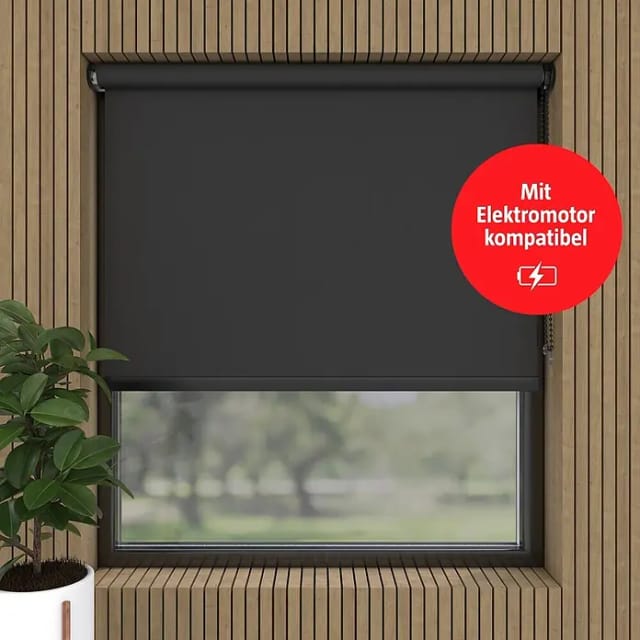 Verdunkelungsrollo Luxus (B x H: 230 x 190 cm, Anthrazit)