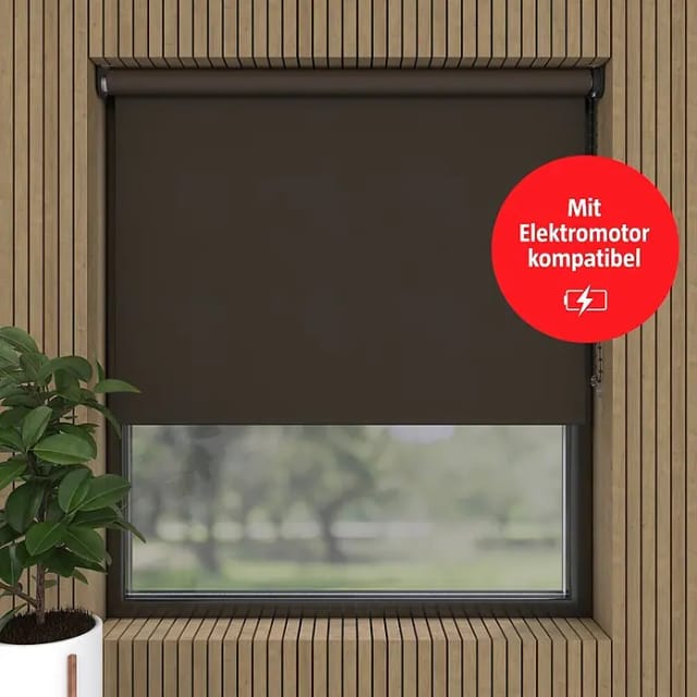 Verdunkelungsrollo (B x H: 60 x 190 cm, Trüffel, 100 % Polyester)