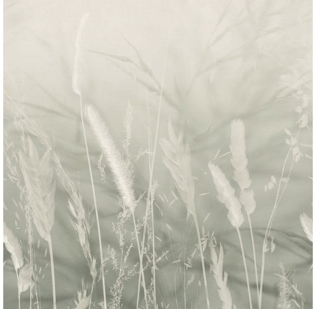 Rasch Vlies Fototapete Schöner Wohnen 2 Whispering Meadow 2,80 x 1,59 m