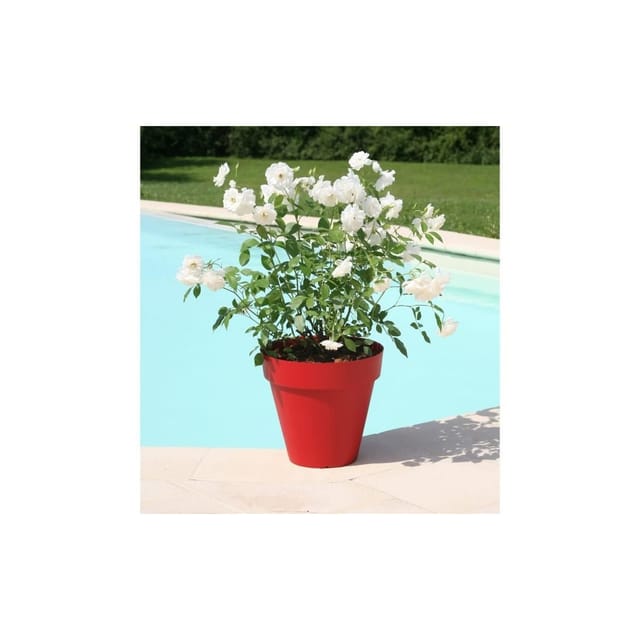 RIVIERA Riviera SOLEILLA Blumentopf - Ø 39,2 x 35,8 cm - Rot