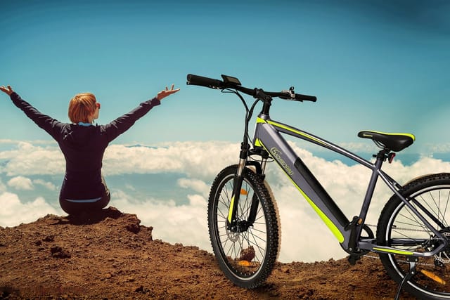 SachsenRAD E-Racing Mountain Bike R8 Flex III für On- und Offroad dunkelgrau 27.5 Zoll