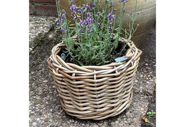 Van der Leeden Blumentopf Blumenkorb Pflanzkorb 36x28cm Rattan Weide Sylter Korb Drypot 12L (1 St), Indoor & Outdoor, Rattan, 12 L, Naturprodukt, incl. Kunststoffeimer