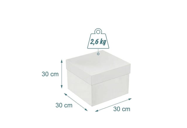 relaxdays Kuchentransportbox Tortenbox Set mit Cakeboards, Pappe, 2er Pack