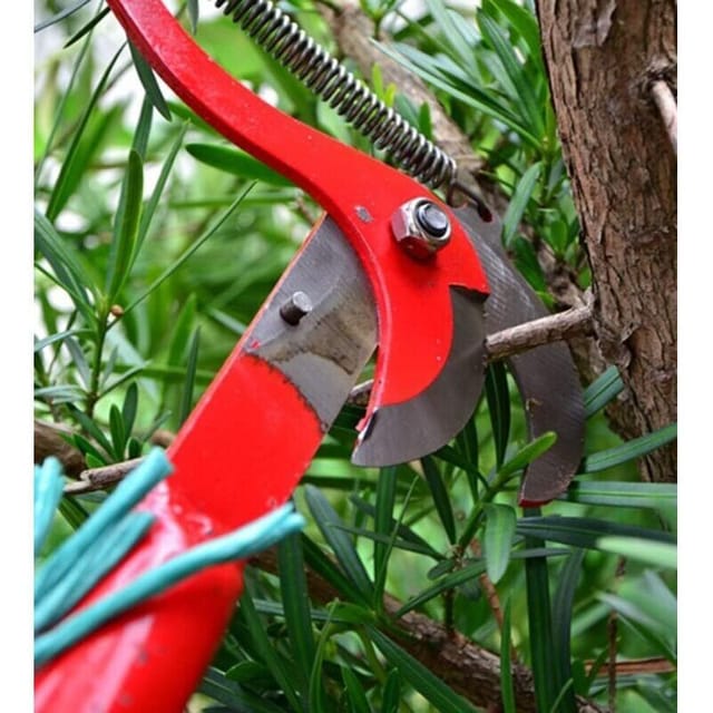 Teleskopleiter Zum Obstpflücken Und Beschneiden – 3,2 Bis 5,2 M, Leichtes Aluminium, Mit Integrierter Gartenschere Und Mehrzweckhaken