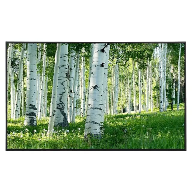 Papermoon Infrarot-Bildheizkörper Birkenwald 4 (120 x 60 cm, 1.000 W)