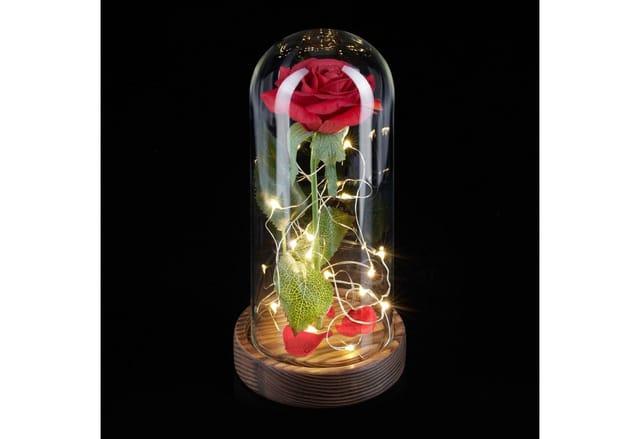 Relaxdays Ewige Rose im Glas Borosilikatglas Rot Beleuchtet 22 cm x 11 cm 0,3 kg