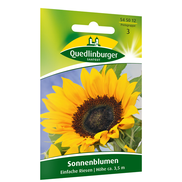 Quedlinburger Sonnenblumen 'Einfache Riesen'
