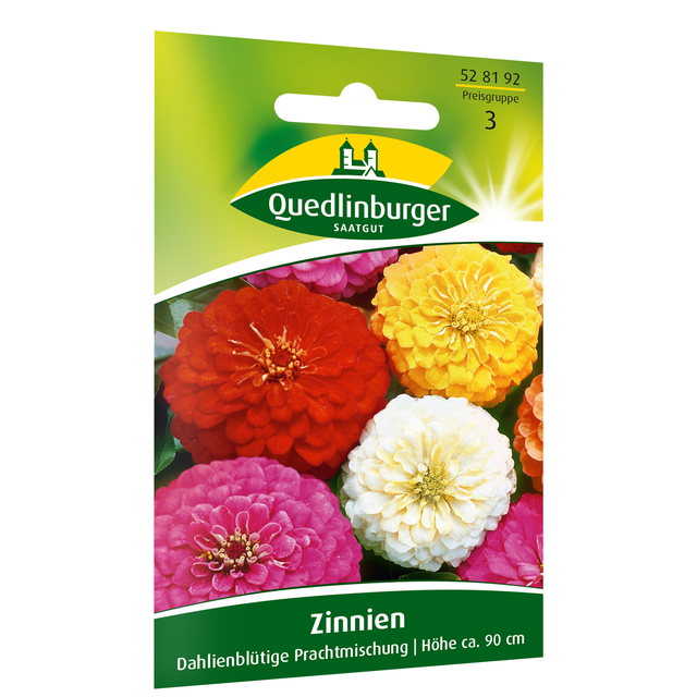 Quedlinburger Zinnien 'Dahlienblütige Prachtmischung'