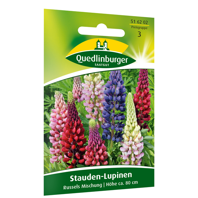 Stauden-Lupinen 'Russels Mischung'